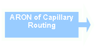 Right Arrow Callout: ARON of Capillary Routing

